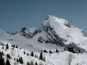 Preview wallpaper mountains, rocks, snow, snowy, spruce, trees