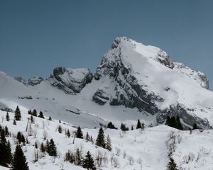 Preview wallpaper mountains, rocks, snow, snowy, spruce, trees