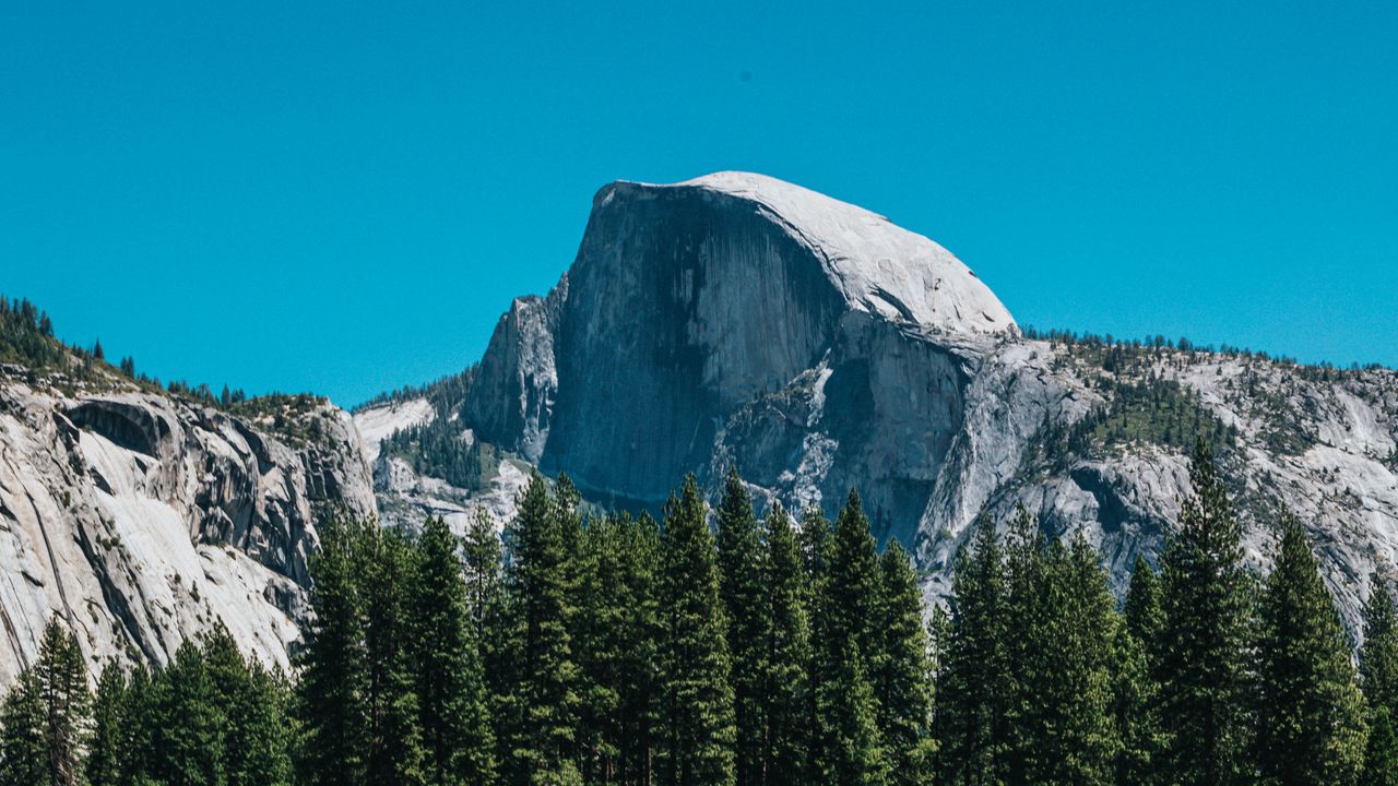 Wallpaper mountains, rocks, spruce, grass, nature