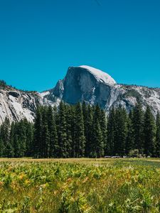 Preview wallpaper mountains, rocks, spruce, grass, nature