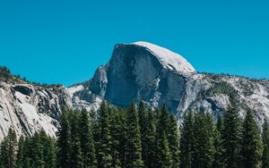 Preview wallpaper mountains, rocks, spruce, grass, nature