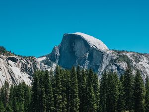 Preview wallpaper mountains, rocks, spruce, grass, nature