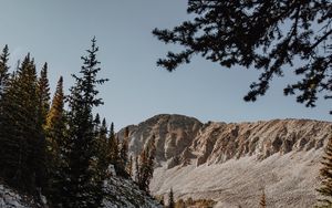 Preview wallpaper mountains, rocks, spruce, trees, stones