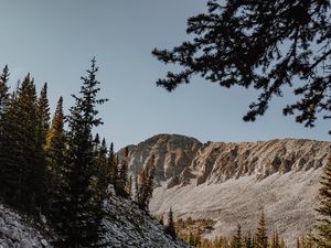 Preview wallpaper mountains, rocks, spruce, trees, stones