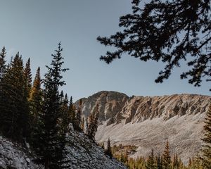 Preview wallpaper mountains, rocks, spruce, trees, stones