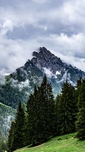 Preview wallpaper mountains, rocks, spruce, trees, clouds, fog