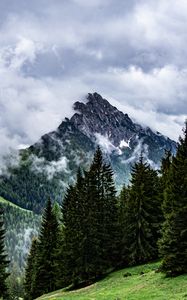 Preview wallpaper mountains, rocks, spruce, trees, clouds, fog