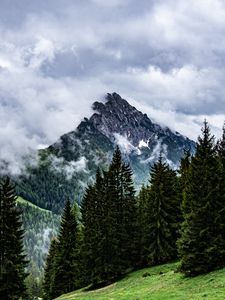 Preview wallpaper mountains, rocks, spruce, trees, clouds, fog