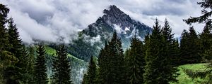 Preview wallpaper mountains, rocks, spruce, trees, clouds, fog