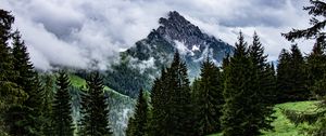 Preview wallpaper mountains, rocks, spruce, trees, clouds, fog