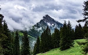 Preview wallpaper mountains, rocks, spruce, trees, clouds, fog