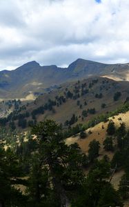 Preview wallpaper mountains, rocks, spruce, trees, slope