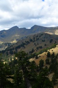 Preview wallpaper mountains, rocks, spruce, trees, slope