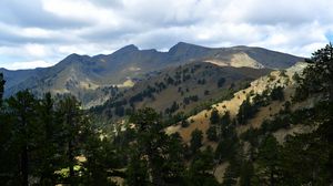 Preview wallpaper mountains, rocks, spruce, trees, slope