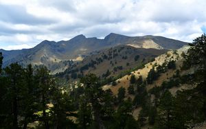 Preview wallpaper mountains, rocks, spruce, trees, slope