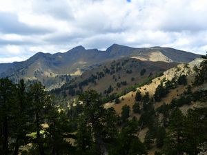 Preview wallpaper mountains, rocks, spruce, trees, slope