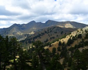 Preview wallpaper mountains, rocks, spruce, trees, slope