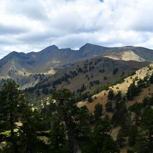 Preview wallpaper mountains, rocks, spruce, trees, slope