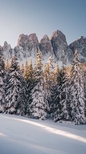 Preview wallpaper mountains, rocks, spruce, snowy, snow