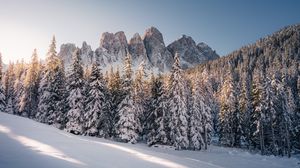 Preview wallpaper mountains, rocks, spruce, snowy, snow