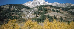 Preview wallpaper mountains, rocks, stones, trees, autumn, lifting