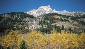 Preview wallpaper mountains, rocks, stones, trees, autumn, lifting