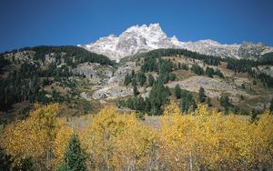 Preview wallpaper mountains, rocks, stones, trees, autumn, lifting