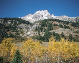 Preview wallpaper mountains, rocks, stones, trees, autumn, lifting