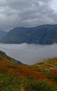 Preview wallpaper mountains, rocks, taiga, grass, fog