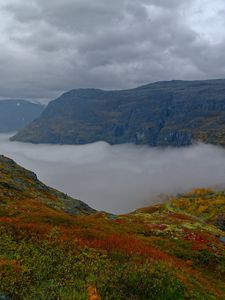 Preview wallpaper mountains, rocks, taiga, grass, fog