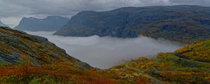 Preview wallpaper mountains, rocks, taiga, grass, fog