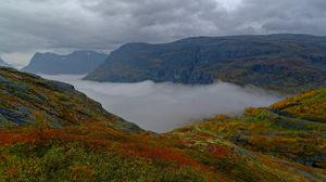 Preview wallpaper mountains, rocks, taiga, grass, fog