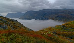 Preview wallpaper mountains, rocks, taiga, grass, fog