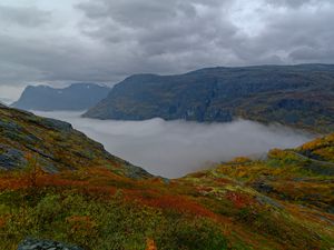 Preview wallpaper mountains, rocks, taiga, grass, fog