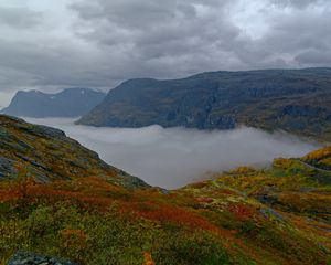 Preview wallpaper mountains, rocks, taiga, grass, fog