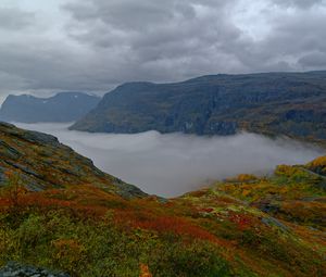 Preview wallpaper mountains, rocks, taiga, grass, fog