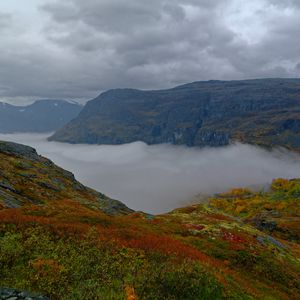 Preview wallpaper mountains, rocks, taiga, grass, fog