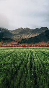 Preview wallpaper mountains, rocks, train, grass, fog
