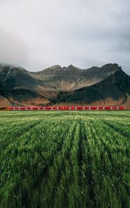 Preview wallpaper mountains, rocks, train, grass, fog