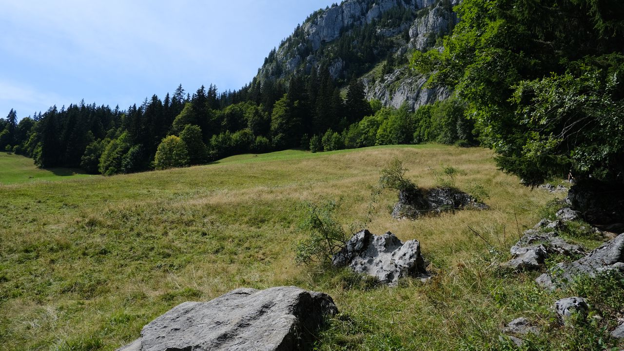 Wallpaper mountains, rocks, trees, valley, stones, nature