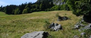 Preview wallpaper mountains, rocks, trees, valley, stones, nature