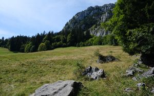 Preview wallpaper mountains, rocks, trees, valley, stones, nature