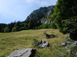 Preview wallpaper mountains, rocks, trees, valley, stones, nature