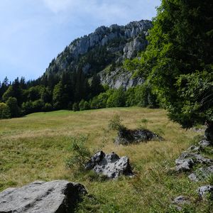 Preview wallpaper mountains, rocks, trees, valley, stones, nature