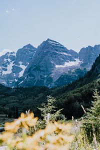 Preview wallpaper mountains, rocks, trees, vegetation, landscape