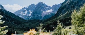 Preview wallpaper mountains, rocks, trees, vegetation, landscape