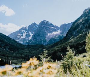 Preview wallpaper mountains, rocks, trees, vegetation, landscape