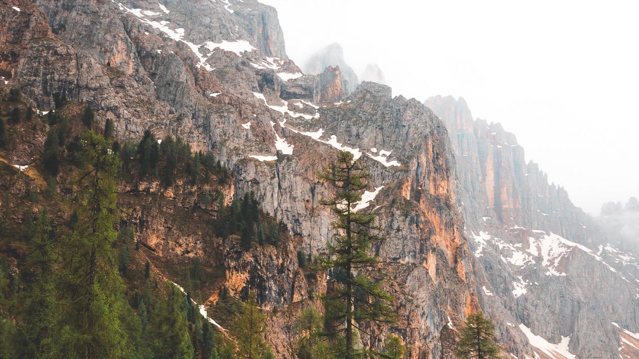 Wallpaper mountains, rocks, trees, fog, natur