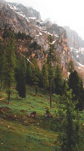Preview wallpaper mountains, rocks, trees, fog, natur