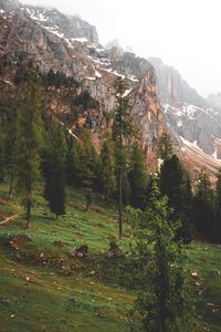 Preview wallpaper mountains, rocks, trees, fog, natur